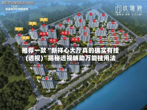 推荐一款“新祥心大厅真的确实有挂(透视)”揭秘透视辅助万能挂用法-第3张图片