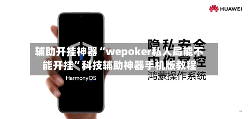 辅助开挂神器“wepoker私人局能不能开挂”科技辅助神器手机版教程-第3张图片