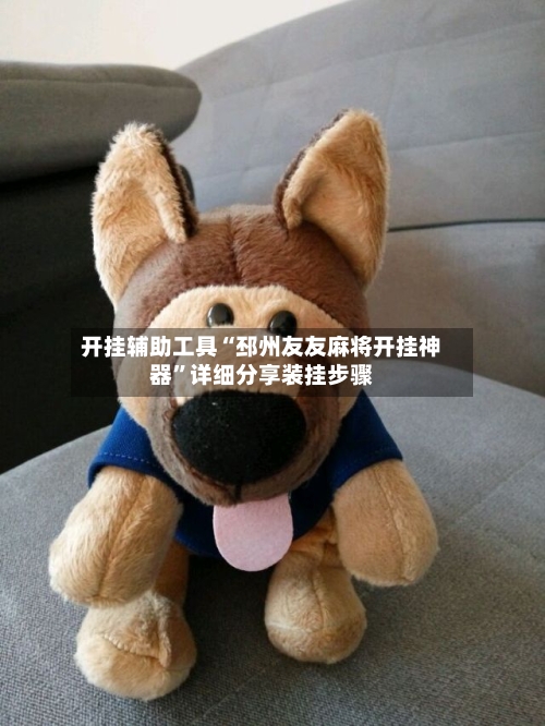 开挂辅助工具“邳州友友麻将开挂神器”详细分享装挂步骤-第3张图片