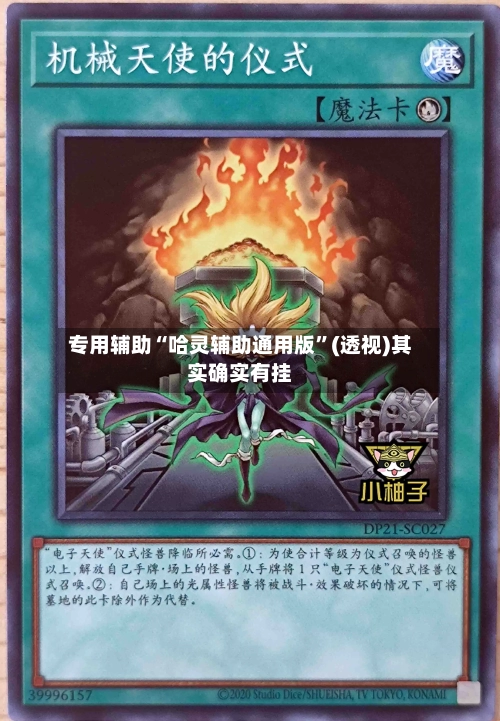 专用辅助“哈灵辅助通用版”(透视)其实确实有挂-第1张图片