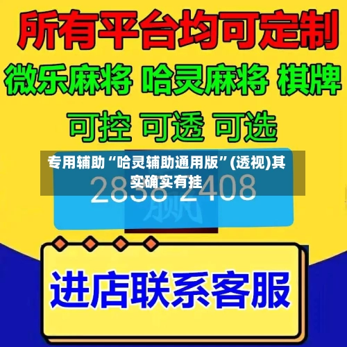 专用辅助“哈灵辅助通用版	”(透视)其实确实有挂-第2张图片