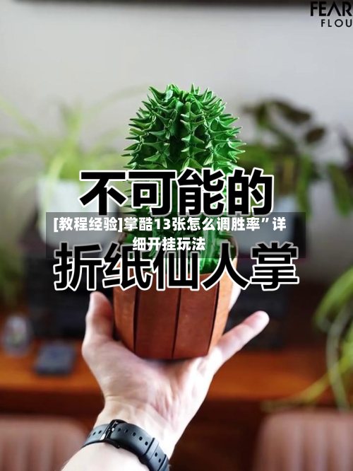 [教程经验]掌酷13张怎么调胜率	”详细开挂玩法-第2张图片