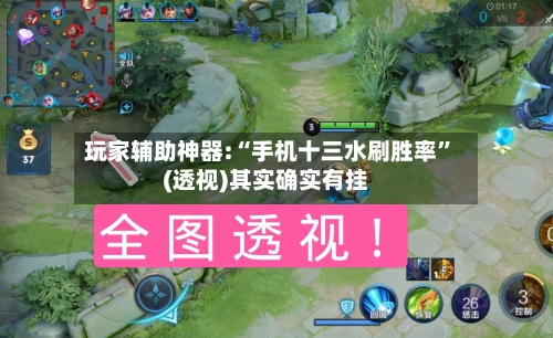 玩家辅助神器:“手机十三水刷胜率”(透视)其实确实有挂-第1张图片