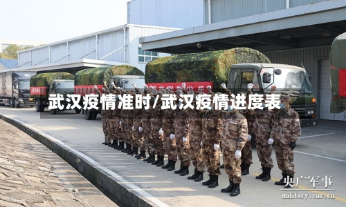 武汉疫情准时/武汉疫情进度表-第2张图片