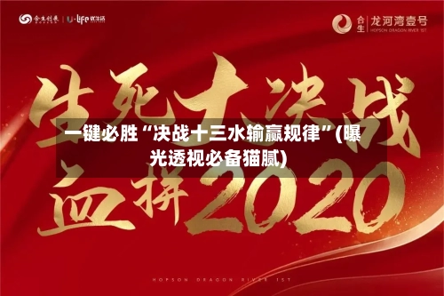 一键必胜“决战十三水输赢规律	”(曝光透视必备猫腻)-第3张图片