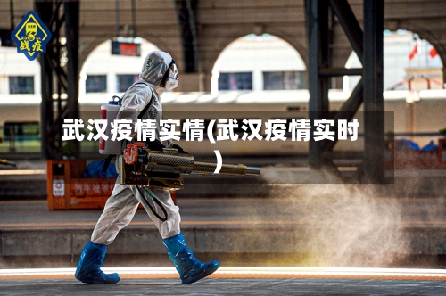 武汉疫情实情(武汉疫情实时)-第2张图片