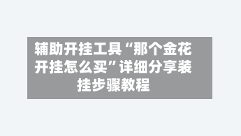 辅助开挂工具“那个金花开挂怎么买”详细分享装挂步骤教程-第2张图片