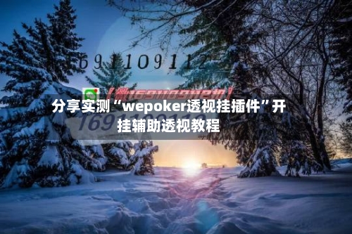分享实测“wepoker透视挂插件”开挂辅助透视教程-第1张图片
