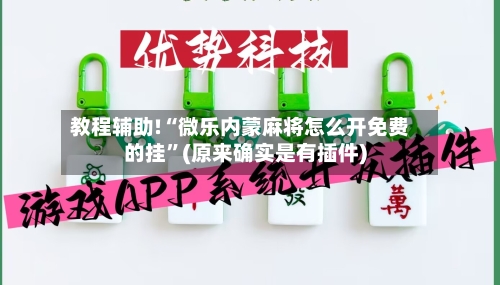 教程辅助!“微乐内蒙麻将怎么开免费的挂	”(原来确实是有插件)-第2张图片