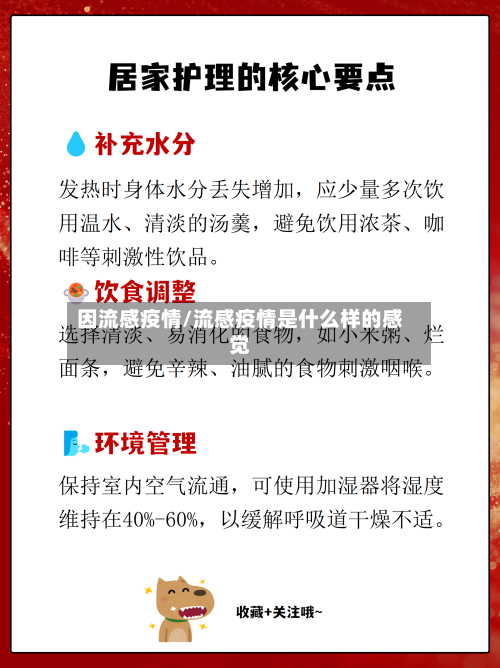 因流感疫情/流感疫情是什么样的感觉-第1张图片