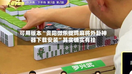 可用版本“贵阳微乐捉鸡麻将外卦神器下载安装”其实确实有挂-第1张图片