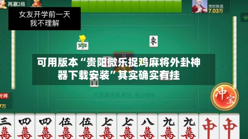 可用版本“贵阳微乐捉鸡麻将外卦神器下载安装”其实确实有挂-第2张图片