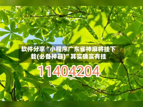 软件分享“小程序广东雀神麻将挂下载(必备神器)	”其实确实有挂-第2张图片