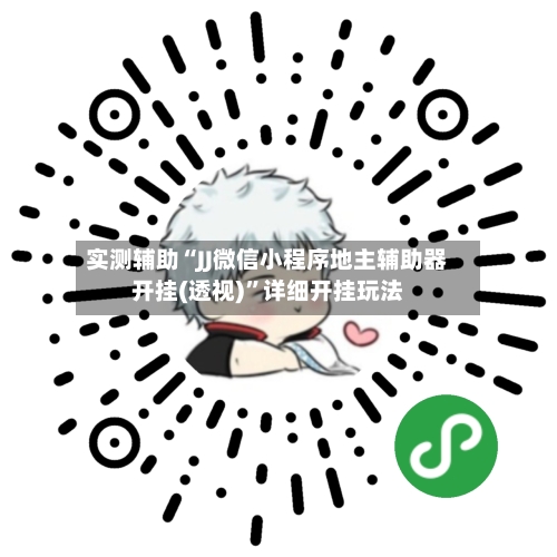 实测辅助“JJ微信小程序地主辅助器开挂(透视)”详细开挂玩法-第2张图片