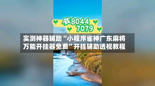 实测神器辅助“小程序雀神广东麻将万能开挂器免费”开挂辅助透视教程-第3张图片