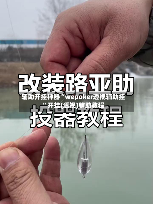 辅助开挂神器“wepoker透视辅助挂”开挂(透视)辅助教程-第1张图片