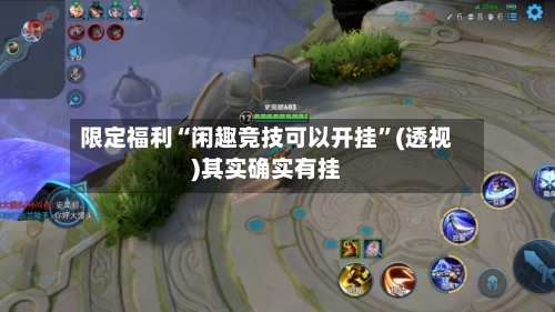 限定福利“闲趣竞技可以开挂”(透视)其实确实有挂-第3张图片