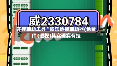 开挂辅助工具“微乐透视辅助器(免费)”(透视)其实确实有挂-第2张图片