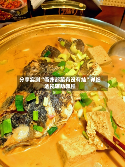 分享实测“衢州都菜有没有挂	”详细透视辅助教程-第1张图片