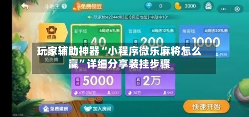 玩家辅助神器“小程序微乐麻将怎么赢”详细分享装挂步骤-第2张图片