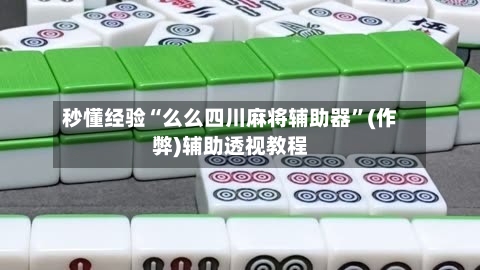 秒懂经验“么么四川麻将辅助器”(作弊)辅助透视教程-第3张图片