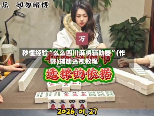 秒懂经验“么么四川麻将辅助器”(作弊)辅助透视教程-第2张图片