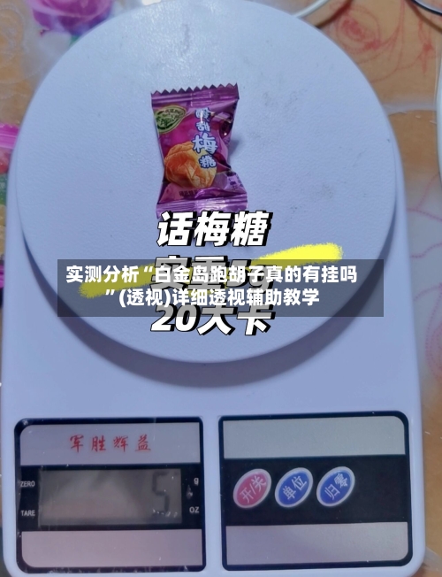 实测分析“白金岛跑胡子真的有挂吗”(透视)详细透视辅助教学-第1张图片