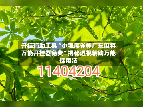 开挂辅助工具“小程序雀神广东麻将万能开挂器免费”揭秘透视辅助万能挂用法-第3张图片