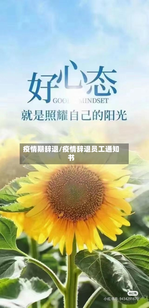 疫情期辞退/疫情辞退员工通知书-第3张图片