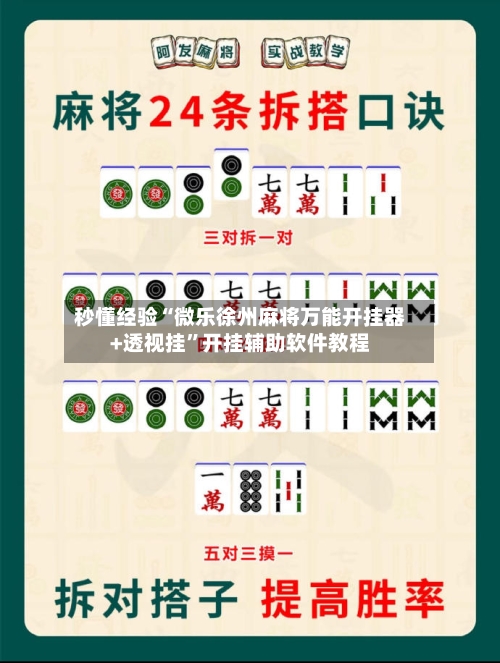 秒懂经验“微乐徐州麻将万能开挂器+透视挂”开挂辅助软件教程-第1张图片