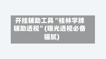 开挂辅助工具“桂林字牌辅助透视	”(曝光透视必备猫腻)-第3张图片