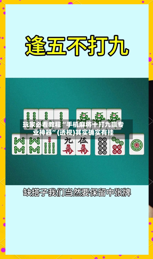 玩家必看教程“手机麻将十打九赢专业神器	”(透视)其实确实有挂-第3张图片