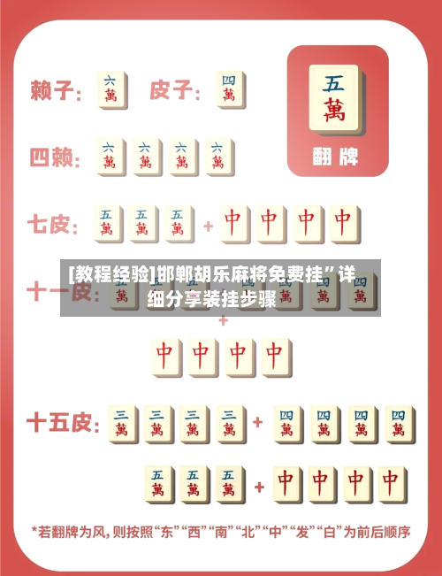 [教程经验]邯郸胡乐麻将免费挂”详细分享装挂步骤-第2张图片