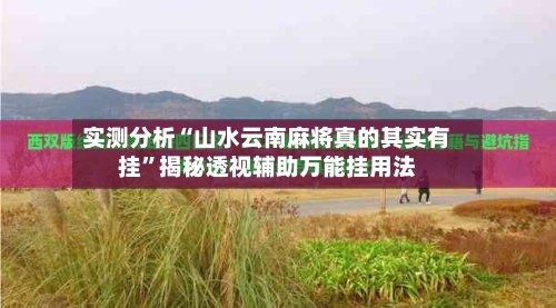 实测分析“山水云南麻将真的其实有挂”揭秘透视辅助万能挂用法-第2张图片
