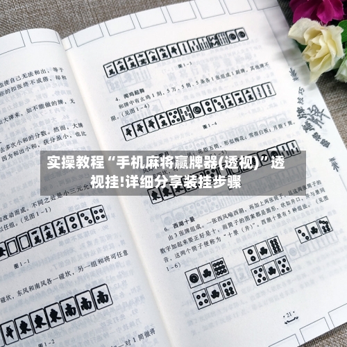 实操教程“手机麻将赢牌器(透视)	”透视挂!详细分享装挂步骤-第2张图片