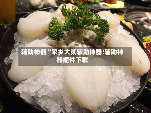 辅助神器“家乡大贰辅助神器!辅助神器插件下载-第2张图片