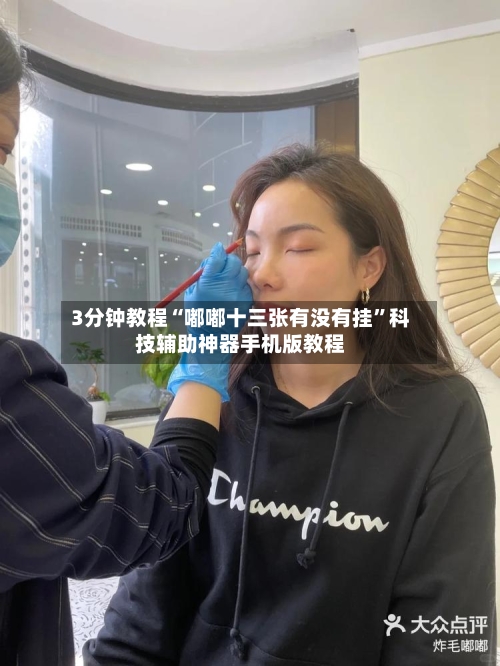 3分钟教程“嘟嘟十三张有没有挂	”科技辅助神器手机版教程-第2张图片