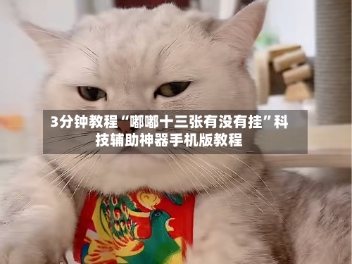 3分钟教程“嘟嘟十三张有没有挂”科技辅助神器手机版教程-第1张图片