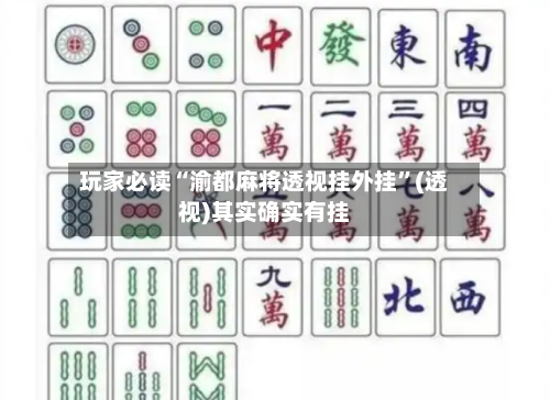 玩家必读“渝都麻将透视挂外挂”(透视)其实确实有挂-第2张图片