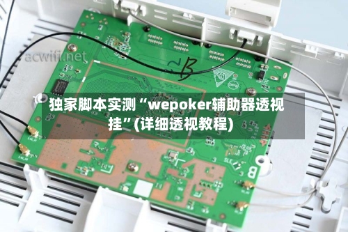 独家脚本实测“wepoker辅助器透视挂	”(详细透视教程)-第2张图片