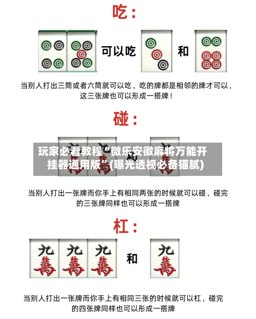 玩家必看教程“微乐安徽麻将万能开挂器通用版”(曝光透视必备猫腻)-第2张图片