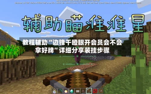 教程辅助“边锋干瞪眼开会员会不会拿好牌	”详细分享装挂步骤-第1张图片