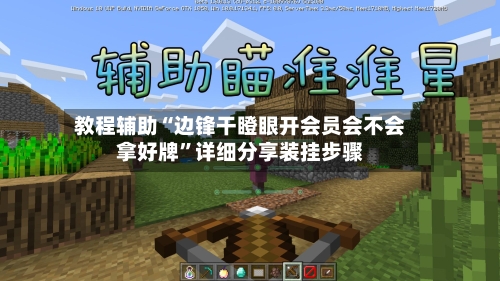 教程辅助“边锋干瞪眼开会员会不会拿好牌”详细分享装挂步骤-第3张图片