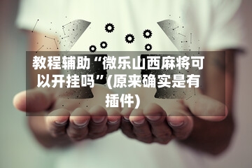 教程辅助“微乐山西麻将可以开挂吗”(原来确实是有插件)-第3张图片