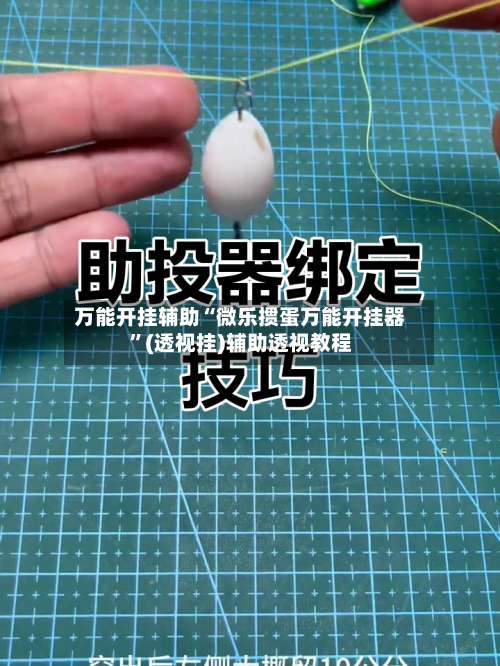 万能开挂辅助“微乐掼蛋万能开挂器”(透视挂)辅助透视教程-第2张图片