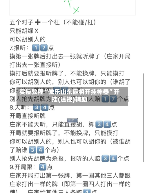 实操教程“微乐山东麻将开挂神器	”开挂(透视)辅助-第2张图片