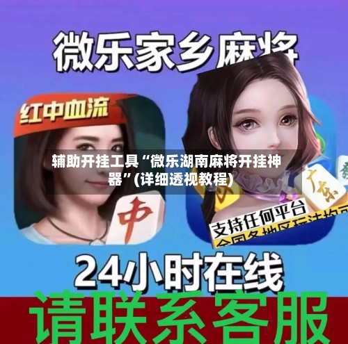 辅助开挂工具“微乐湖南麻将开挂神器	”(详细透视教程)-第1张图片