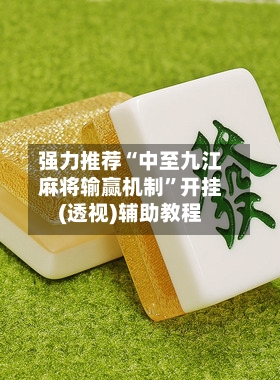 强力推荐“中至九江麻将输赢机制	”开挂(透视)辅助教程-第3张图片