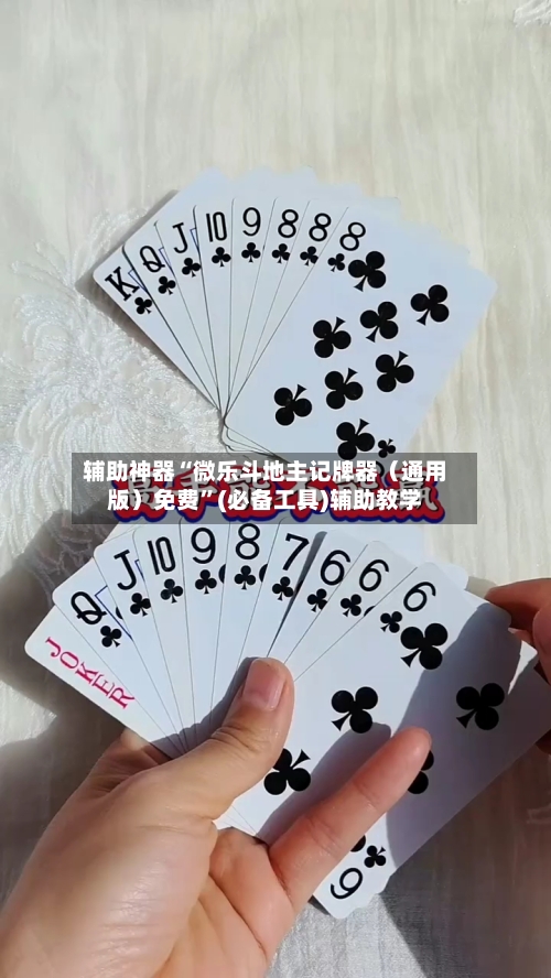 辅助神器“微乐斗地主记牌器（通用版）免费”(必备工具)辅助教学-第1张图片