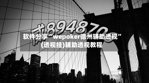 软件分享“wepoker德州辅助透视”(透视挂)辅助透视教程-第2张图片